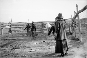 Figure 5: Mabel, May, and Myrtle Buckley Roping Horse