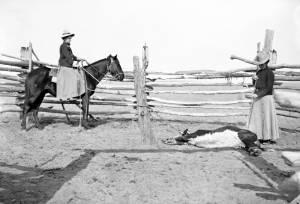 A woman wearing a split skirt sits astride a horse while another woman brands a roped cow