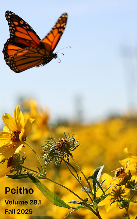 Photo by Dr. Jennifer Nish. A photo of an orange and black Monarch butterfly. The butterfly is in flight against a light blue sky and field of yellow wildflowers. The butterfly is situated toward the upper left hand corner of the image. The background of the field is out of focus, while the butterfly heads toward a foreground of yellow flowers in focus.