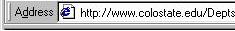 Address Bar