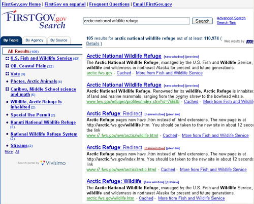 Screen shot of FirstGov's Website